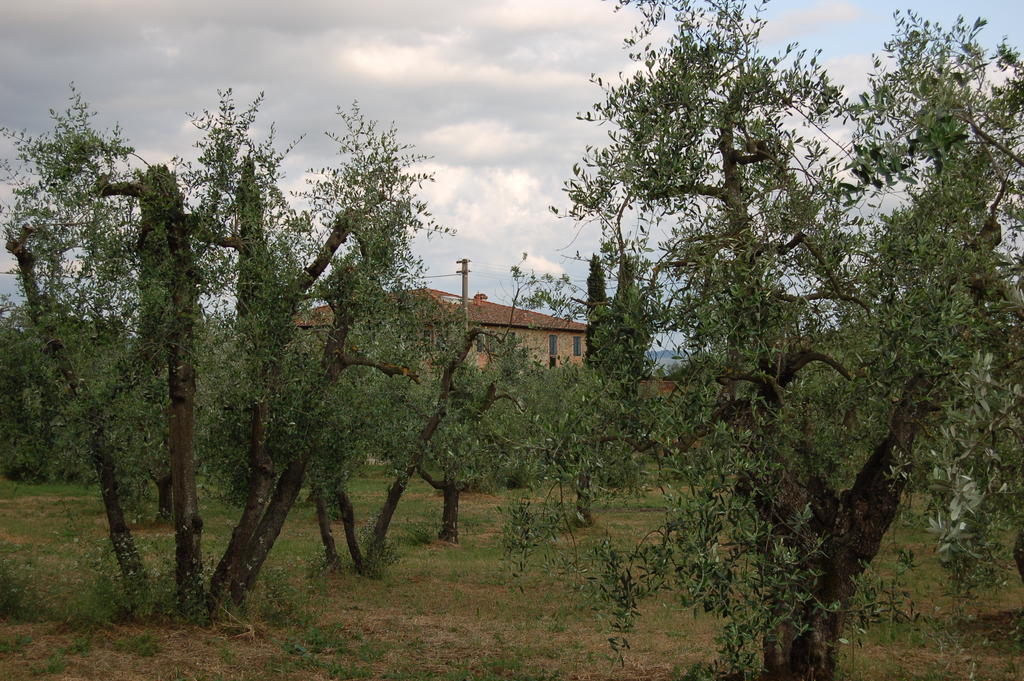 Podere Scaluccia Impruneta Exterior photo